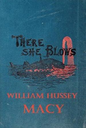 Cover of the book There She Blows! by J. Allan Dunn