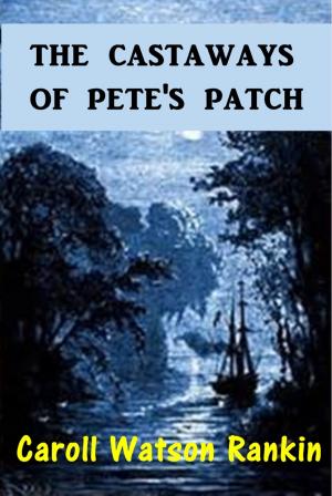 Cover of the book The Castaways of Pete's Patch by Amy Blanchard
