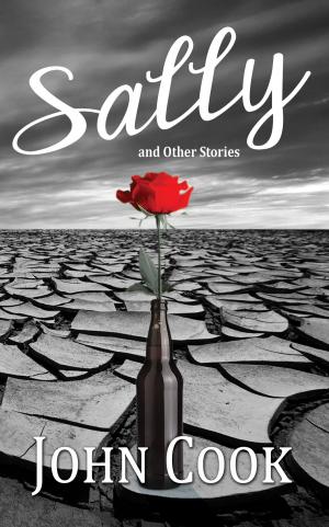 Book cover of Sally and Other Stories