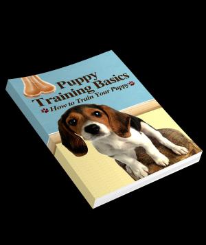 Cover of the book Puppy Training Basics by Anonymous