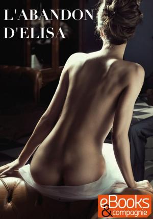 Book cover of L'abandon d'Elisa