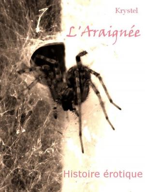Cover of the book L'araignée by Amelia Wren