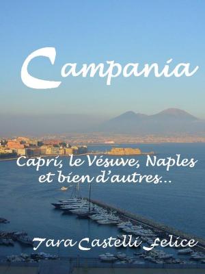 Cover of the book La Campanie, Région de Naples by Tara Castelli Felice