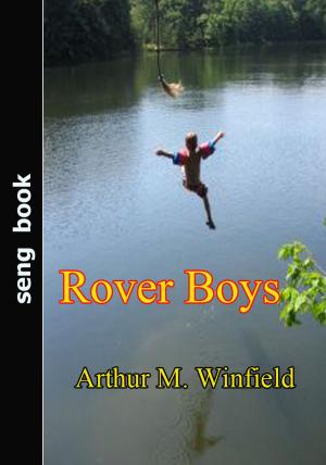 Cover of the book Rover Boys by Robert E. Howard