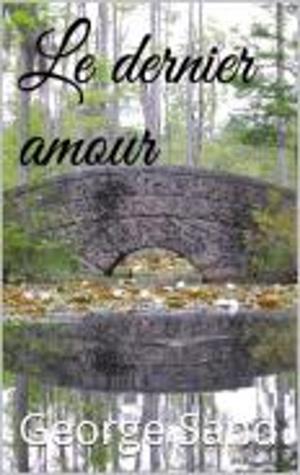 Book cover of Le Dernier Amour