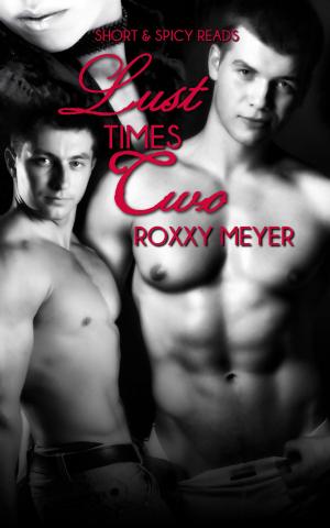 Cover of the book Lust Times Two by Kristina Knight