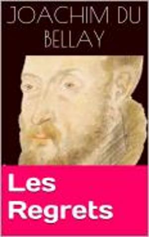 bigCover of the book Les Regrets by 