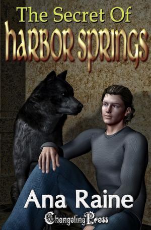 Cover of the book The Secret of Harbor Springs (Hidden Oaks 2) by Shelby Morgen