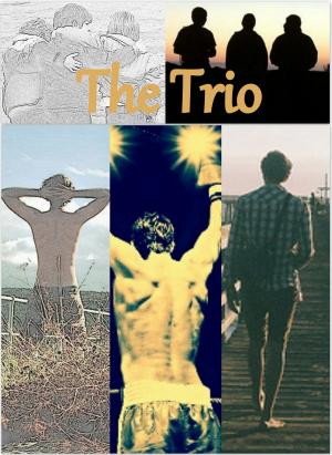 Cover of the book The Trio by Arthur Mackeown
