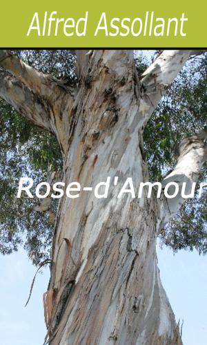Cover of the book Rose-d'Amour by Marquis de Sade
