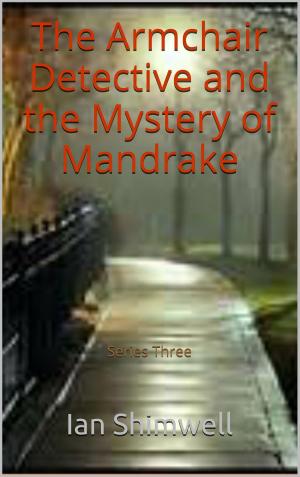 Cover of the book The Armchair Detective and the Mystery of Mandrake by Ellen Jacobson
