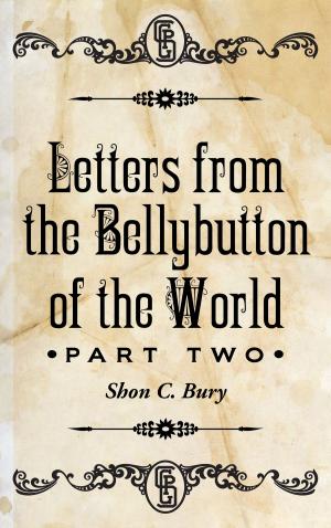 Cover of the book Letters from the Bellybutton of the World by David Estrada