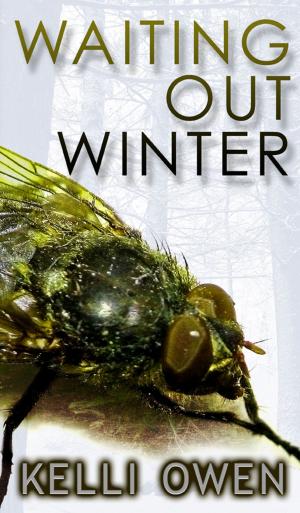 Cover of the book Waiting Out Winter by Brian Paone, DW Vogel, Virginia Carraway Stark, KN Johnson, Travis West, JM Ames, Marianna Llanos, DL Smith-Lee, Kari Holloway, Laurie Gardiner, Dawn Taylor, EC Jarvis, CH Knyght, William Thatch, Donise Sheppard, Ricardo Anthonio, FA Fisher, Suanne Kim, Patricia Stover, Laura Ings Self, JM Turner, Jacob Prytherch, Lauren Nalls, Monica Sagle, Amy Hunter, Quinne Darkover, Sunanda J Chatterjee, RJ Castiglione, B Sharpe, River M Daniel