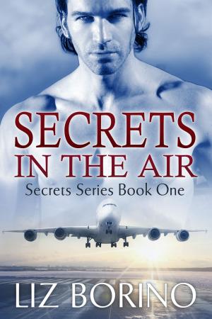 Cover of the book Secrets in the Air by Erik Scott de Bie