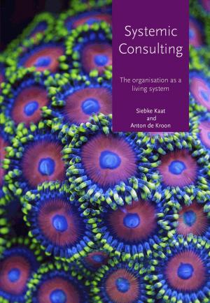 Cover of the book Systemic consulting by Jeannie Pitt