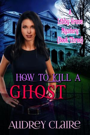 bigCover of the book How to Kill a Ghost (Libby Grace Mystery Book 3) by 