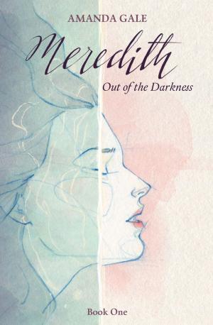 Cover of the book Meredith Out of the Darkness by Jenni Moen