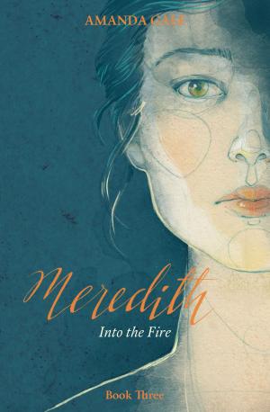 Cover of the book Meredith Into the Fire by Daniel Quentin Steele