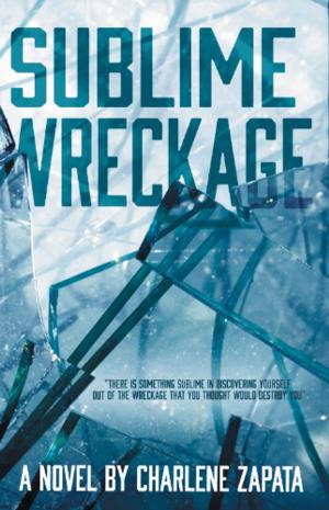 Cover of the book Sublime Wreckage by Shelli Stevens
