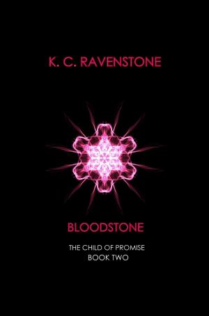 Cover of Bloodstone