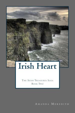 Cover of the book Irish Heart by Dana Burkey