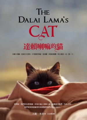 bigCover of the book 達賴喇嘛的貓：又稱小雪獅，是來自天堂的、不受限的幸福，是美麗、珍貴的提醒，叫人要活、在、當、下。 by 