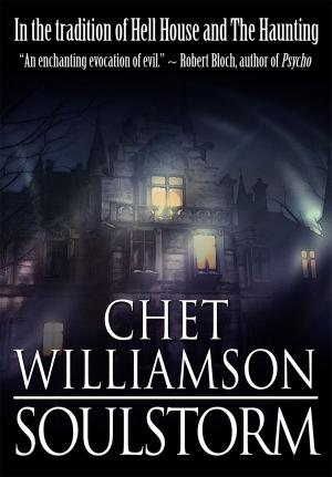 Cover of the book Soulstorm by C. T. Phipps