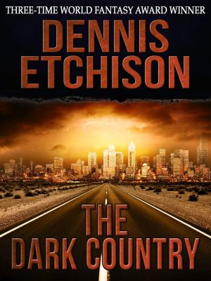 Book cover of The Dark Country