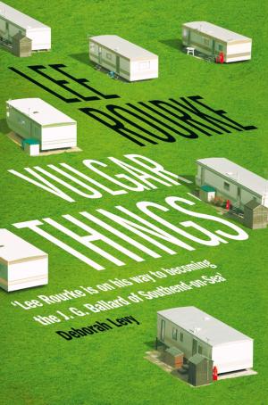 Cover of the book Vulgar Things by Ian Newton