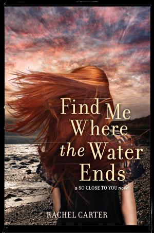 Cover of the book Find Me Where the Water Ends by Alice Kuipers