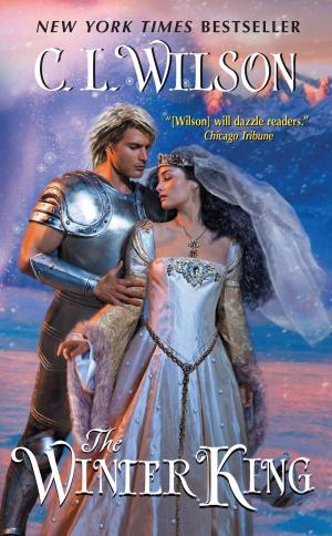 Cover of the book The Winter King by Deborah Woodworth