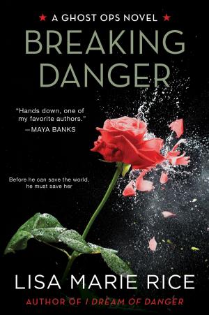 Cover of the book Breaking Danger by Simone van der Vlugt