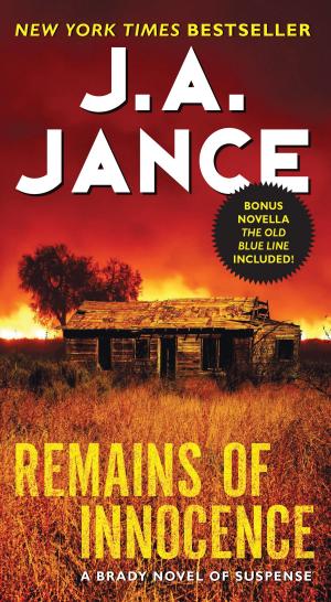Cover of the book Remains of Innocence by Joanne Pence