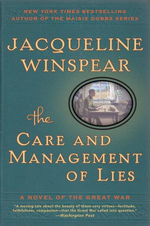 Cover of the book The Care and Management of Lies by Jimmy Connors