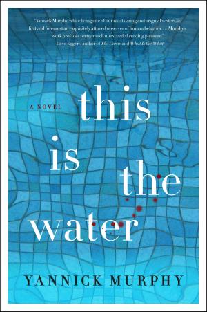 Cover of the book This is the Water by Joanna Trollope