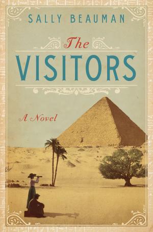 Cover of the book The Visitors by 