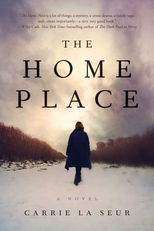 Cover of the book The Home Place by Barbara Delinsky