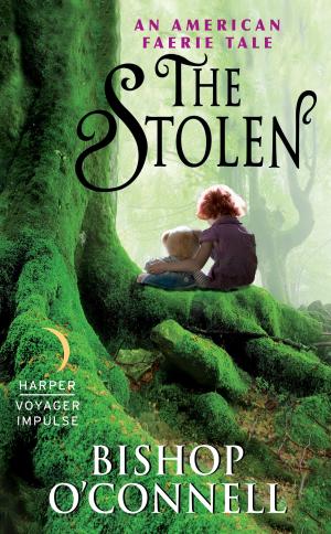 Cover of the book The Stolen by S. A Chakraborty