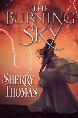 Cover of the book The Burning Sky by Mindee Arnett