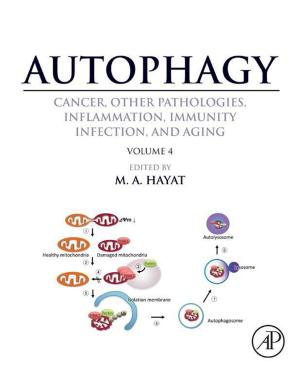 Cover of the book Autophagy: Cancer, Other Pathologies, Inflammation, Immunity, Infection, and Aging by John Pirc, David DeSanto, Iain Davison, Will Gragido