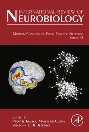 Book cover of Modern Concepts of Focal Epileptic Networks
