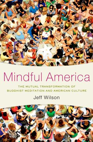 Cover of the book Mindful America by Cynthia Roberts, Saori Katada, Leslie Armijo