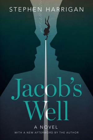 Book cover of Jacob's Well