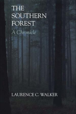 Cover of the book The Southern Forest by Elizabeth Salas