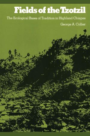 Cover of the book Fields of the Tzotzil by Terence Grieder, James D. Farmer, David V. Hill, Peter W. Stahl, Douglas H.  Ubelaker