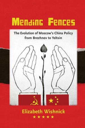 Cover of the book Mending Fences by Madhuri Desai