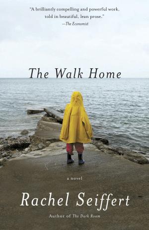 Cover of the book The Walk Home by David Peace