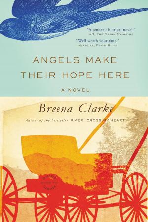 Cover of the book Angels Make Their Hope Here by Allie Rowbottom