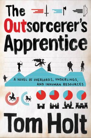 bigCover of the book The Outsorcerer's Apprentice by 