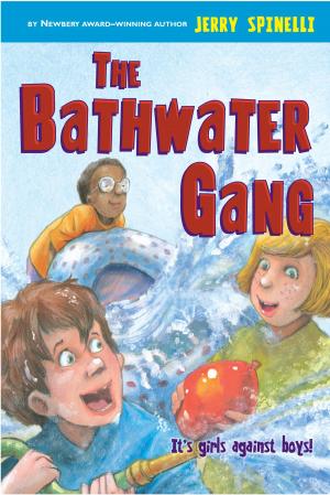 Cover of the book The Bathwater Gang by Kass Morgan